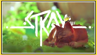 迷いネコがとにかくかわいい物語【Stray】#初投稿