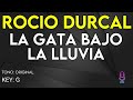 Rocio Durcal - La Gata Bajo La LLuvia - karaoke Instrumental