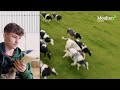 agriculture courses at moulton college