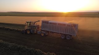 Ensilage de luzerne XL CMC 5800/ Fendt 818 \u0026 ROC RT 950 !!