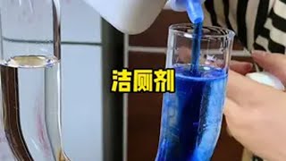 这洗厕所的真有说的这么好用吗？测评 洁厕剂 卫生间好物 清洁神器 蔬果园洁厕剂