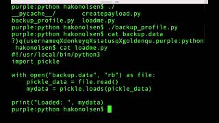 Unsafe deserialization with Python pickle