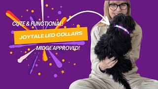 Brighten Your Night Walks! 🌟 Joytale Light Up Dog Collar Review