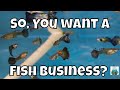 So, you want a Fish Business?