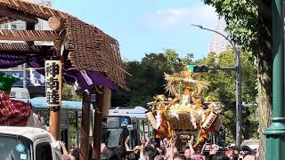 渋谷北谷稲荷神社　秋季例大祭　2023年9月24日 Part.2 公園通りを渡御していく神輿