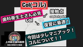 第１７回　コル　Col　上州総合歯科医院　歯科衛生士　スケーリング　SRP　基本講座　スケーリングの方法　Dental　Hygiene　歯科衛生士向け動画