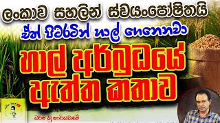 152. ලංකාව සහලින් ස්වයංපෝෂිතයි I ඒත් පිටරටින් හාල් ගෙනෙනවා I හාල් අර්බුධයේ ඇත්ත කතාව