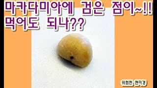 마카다미아 위에 검은 점이 있는데 이걸 먹어도 될까?