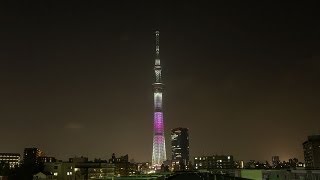 東京スカイツリー 全12種類ライトアップ Tokyo Sky Tree Light-up 12 colors