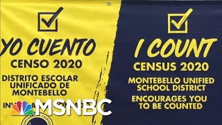 Ending The Census Early Could Have Huge Political Consequences - Day That Was | MSNBC