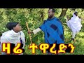 ዛሬ ተዋረድን !! 🤣 አዲስ ምርጥ የገጠር ኮሜዲ ድራማ።