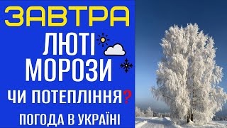 ПОГОДА НА ЗАВТРА - 13-14 ЛЮТОГО! Прогноз погоди в Україні!!!