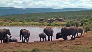 Video over Woodall Country House \u0026 Spa - Addo Elephant National Park - Zuid-Afrika