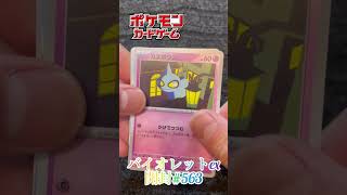 バイオレットex開封でミモザsarを狙う！！ #ポケカ #チャンネル登録お願いします