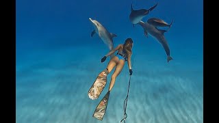 Swimming with Wild Dolphins in the Bahamas!