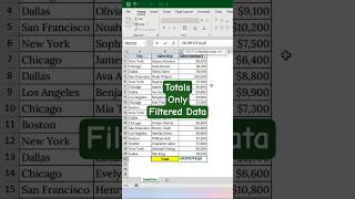 Excel Totals Wrong After Filter? Fix It Instantly with SUBTOTAL!