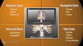 BioDigital Human: 3D Anatomy Tools