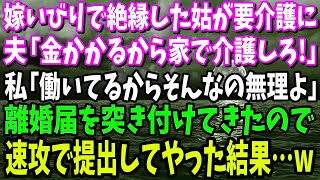 【スカッと】嫁いびりで完全絶縁した義母が要介護になると夫「施設は金かかるから家で介護しろ！」私「働いてるから無理よ」→離婚届を突き付けてきたので即提出してやった結果…w【修羅場】