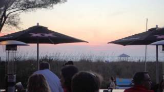 Toasted Monkey ~ Get Up, Stand Up ~ St Pete Beach