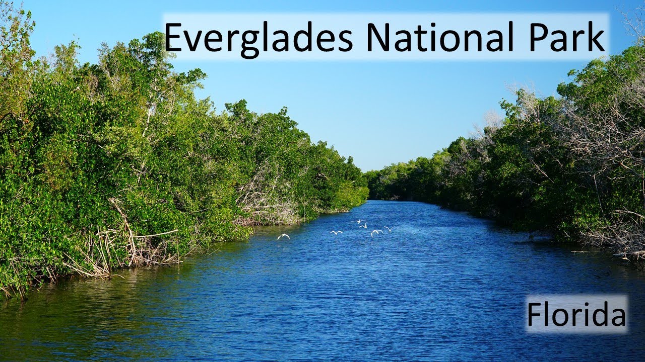 Everglades National Park Youtube