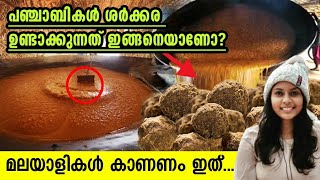 നാവിൽ കൊതിയൂറും പഞ്ചാബി ശർക്കര😱🔥Traditional jaggery making|Jaggery production from sugarcane|punjab💥