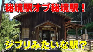 【飯田線最強の秘境駅】秘境駅としてあまりに有名な小和田駅に初めて行ってみた！2