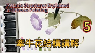 牽牛花結構講解_初學者花鳥畫_中國畫教學/Petunia Structures Explained_Flower and Bird Painting for Beginners