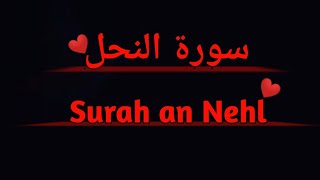 Surah an nehl with urdu translation | Surah an nehl tafseer by dr israr ahmed | @LearnQuranatHome