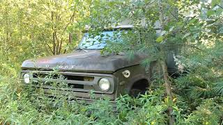 ABANDONED Mopar Junkyard In The Woods! Plymouth Road Runner Found!