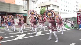 ★真傘坊 豪ノ虎さん　『虎舞う「トラブル」』　鳥取野外フェス 夢限～MUGEN～　2017