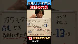 【阪神ＪＦ２０２４　注目の穴馬‼️】毎週予想投稿中🐎 #競馬 #競馬予想 #阪神ジュベナイルフィリーズ #阪神jf #京都競馬場 #カワキタマナレア #東京競馬場 #ウマグチ #穴馬