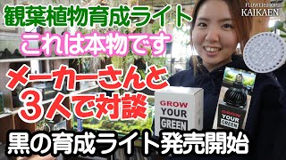 観葉植物育成ライト　プランツネクスト　黒発売　開始　メーカーさんと　対談【おうちでグリーン】【おうちでガーデニング】開花園チャンネル