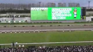 【現地観戦】第72回菊花賞・オルフェーヴル・Orfevre(レース～口取り式)