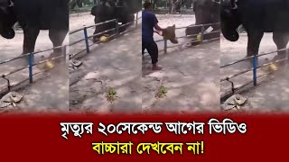 বাচ্চাটার আর ঈদ করা হলো সবাই তার পরিবারের সাথে ঈদ করলো! | চিড়িয়াখানায় হাতির নিচে পিষ্ঠ হয়ে মৃত্যু