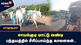 சாயல்குடி மாட்டு வண்டி பந்தயத்தில் சீரிப்பாய்ந்த காளைகள்..