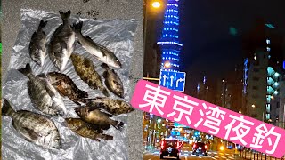 東京灣夜釣，鱸魚，黑鯛，石九公，小石斑，好貨釣不停。過足了手癮！