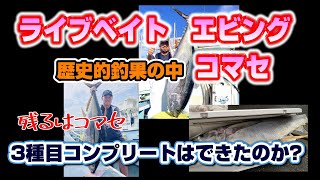 超当たり年　行くしかないって！2024年の相模湾コマセキハダマグロ　当たりまくりからの