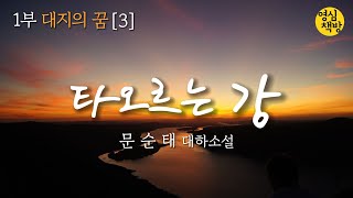 제1부 대지의 꿈 [3]ㅣ대하소설 ㅣ문순태 ㅣ타오르는 강 ㅣ소설 듣기 ㅣKorean Audio Book ㅣ영심책방 ㅣ