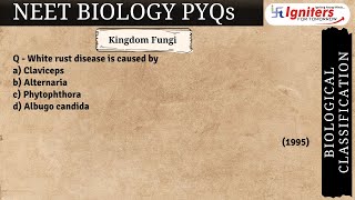 White rust disease is caused by a) Claviceps b) Alternaria c) Phytophthora d) Albugo candida