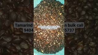 Tamarind/Imli seeds supplier in India. call +919404859445 , +917020485737