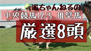 【推奨馬】12月5日の中央競馬で紹介したい馬が8頭います【土曜日馬券率6/8】