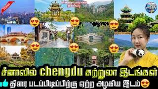 சீனாவில் 14 வருடங்களாக 🌄சுற்றுலா இடமாக ☀️திகழும் செங்டு🤩 | chengdu china in tamil | Modern Tamizh