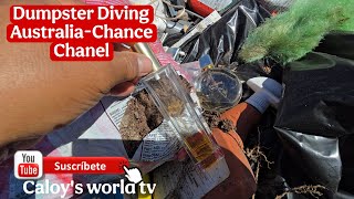 Dumpster Diving WA- Chance Chanel Garden Liquid Metals display.Total bin