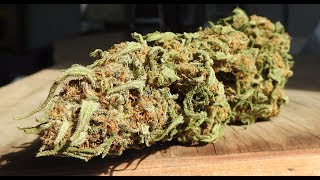 Weed myths debunked in 4 minutes 20 seconds - 420
