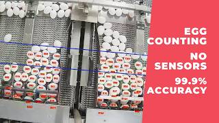 Egg Counter on Roller Accumulator Conveyor — 1560 Eggs in 2 Minutes | AI Vision