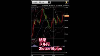 FX【複利運用】1日5pipsチャレンジ166日目