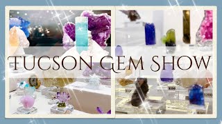 Tucson Gem Show 2023 Part 3 | Main Show Tour and Haul