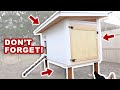 Chicken Coop Features NOT To Forget (8 Things To Consider)