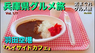 【気まグルメ】兵庫県グルメ旅01「羽田空港(第８ベイサイドカフェ)」飛行機を眺めながらカレーが食べられます - No.628