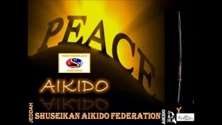 AIKIDO  - WHITE BELT - from 1 to 20